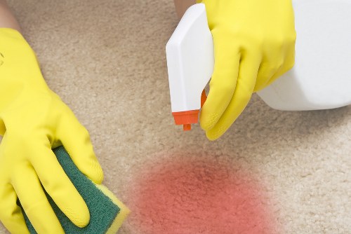 Professional pet stain removal on a carpet in a Hammersmith home