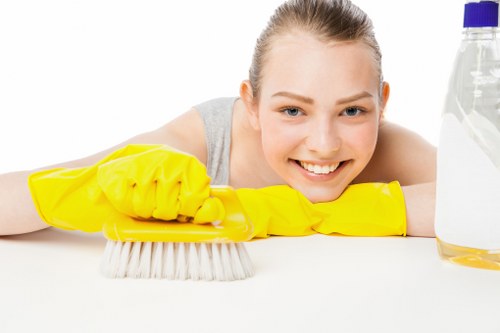Upholstery stain treatment in a West London property