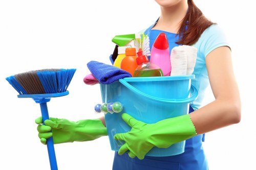 Gutter cleaning service for Hammersmith homes and terraces