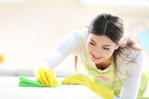 Local carpet cleaner treating a stair carpet in Hammersmith