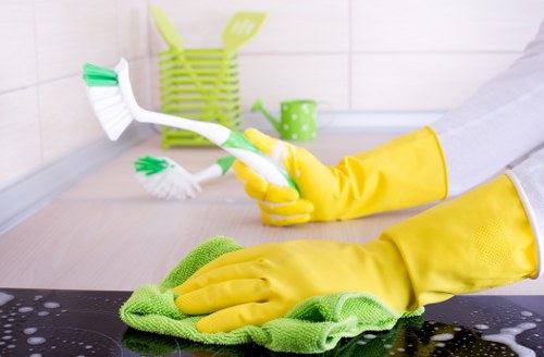 Local cleaning technician treating a sofa for pet odour in Hammersmith