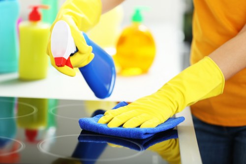 A cleaner maintaining a tidy apartment in Hammersmith
