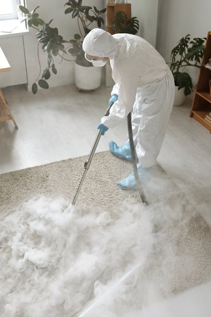 A professional cleaner from Cleaner Hammersmith dressed in a full white protective suit, blue gloves, and shoe covers is performing deep cleaning on a beige carpet in a bright, well-lit living room. The cleaner holds a vacuum hose connected to a cleaning machine, and steam or cleaning solution is visible on the carpet surface. The room features a large window with sheer white curtains, a wooden side table near the window, and a wooden bookshelf filled with books, decorative items, and framed photos. There are potted plants on the windowsill and next to the bookshelf, along with neatly arranged vases and picture frames on top. The overall appearance of the space is clean and tidy, highlighting effective surface cleaning and sanitisation practices typical of domestic cleaning services by Cleaner Hammersmith, focused on maintaining hygiene and freshness in residential settings.